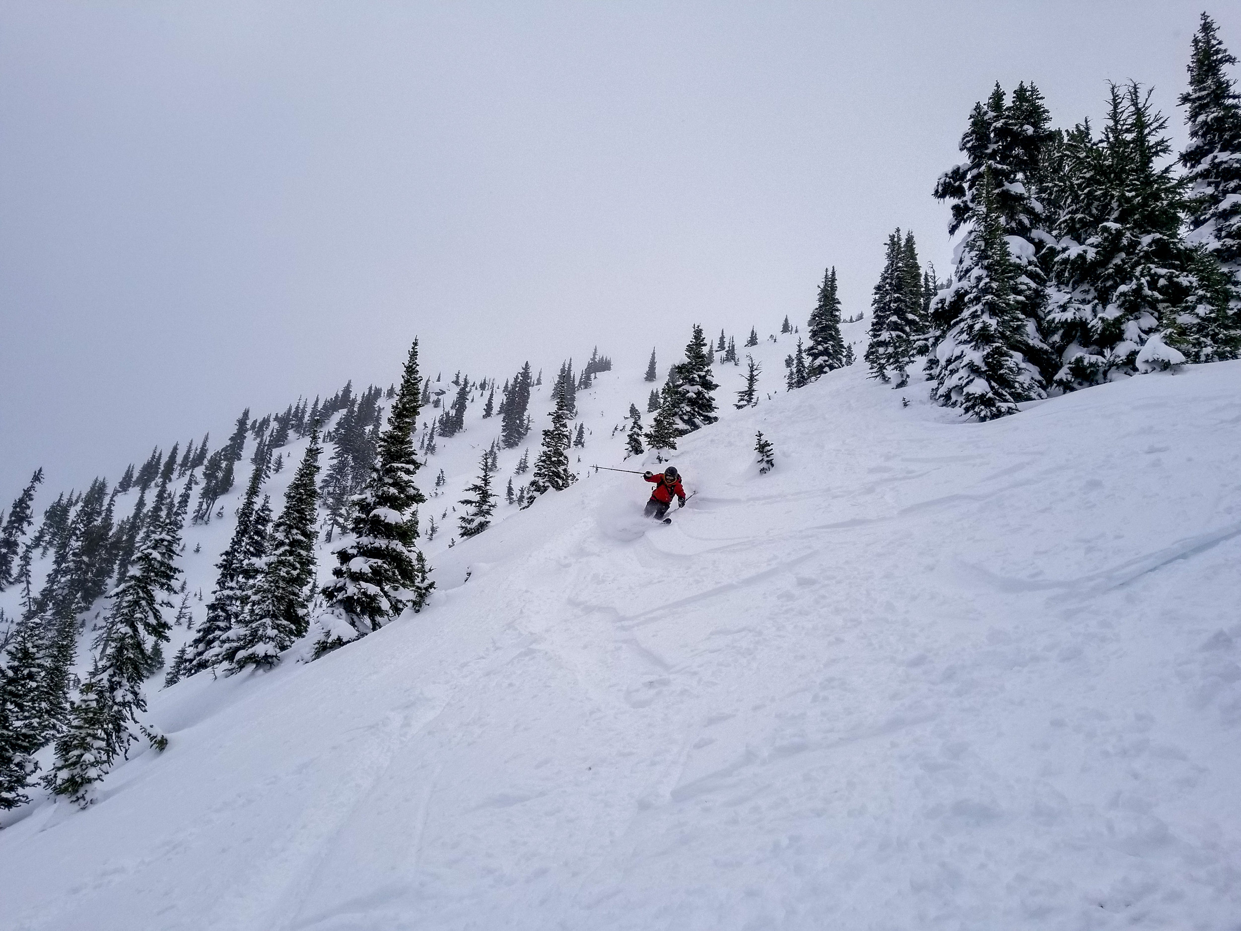 Backcountry skier touring in open terrain